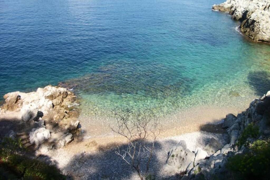 Coeur De Juan, Calme, 300M Plages - Easy Check-In Antibes Bagian luar foto
